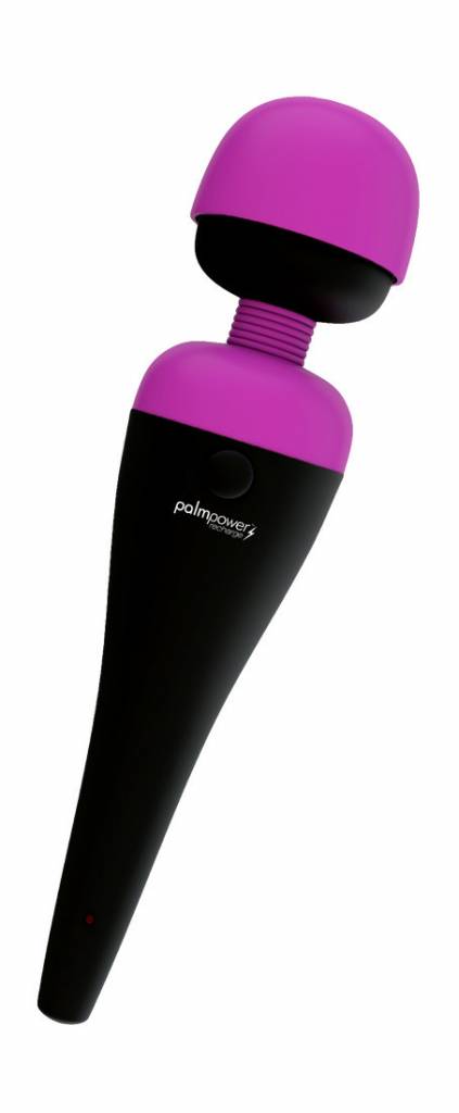 PalmPower Recharge - oplaadbare wandvibrator