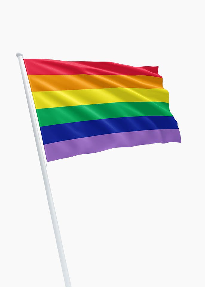 Regenboogvlag 100 x 150 cm - Pride